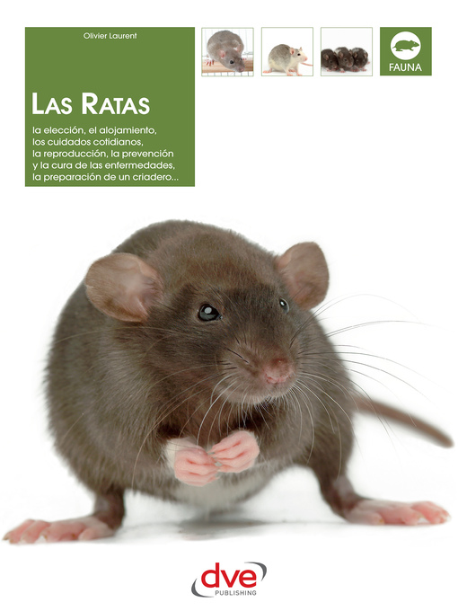 Title details for Las ratas by Olivier Laurent - Available